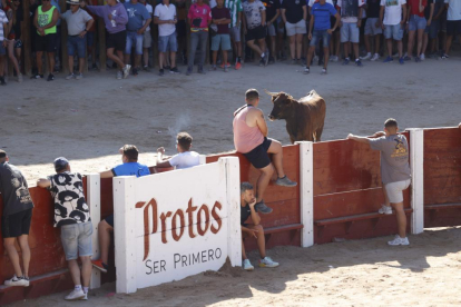 Segundo encierro de las fiestas de Peñafiel 2023 .-PHOTOGENIC