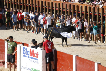 Segundo encierro de las fiestas de Peñafiel 2023 .-PHOTOGENIC