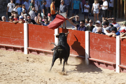 Segundo encierro de las fiestas de Peñafiel 2023 .-PHOTOGENIC