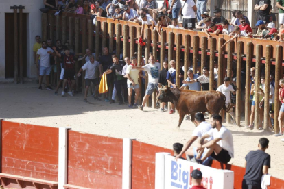 Segundo encierro de las fiestas de Peñafiel 2023 .-PHOTOGENIC