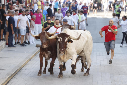 Segundo encierro de las fiestas de Peñafiel 2023 .-PHOTOGENIC