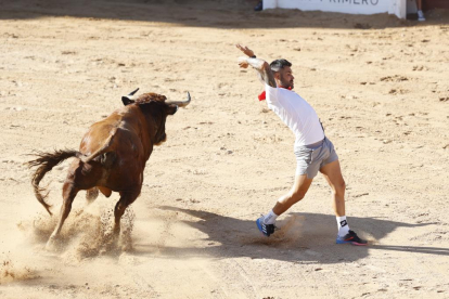 Segundo encierro de las fiestas de Peñafiel 2023 .-PHOTOGENIC