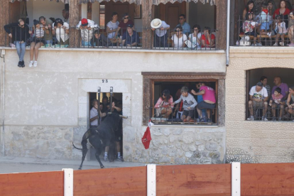 Segundo encierro de las fiestas de Peñafiel 2023 .-PHOTOGENIC