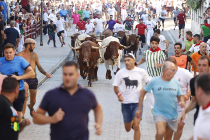 Segundo encierro de las fiestas de Peñafiel 2023 .-PHOTOGENIC