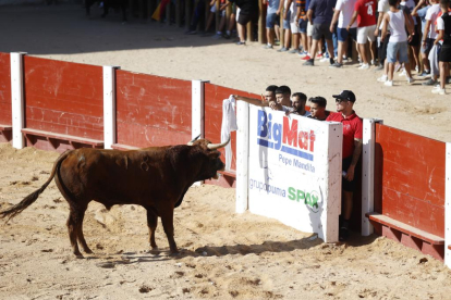 Segundo encierro de las fiestas de Peñafiel 2023 .-PHOTOGENIC