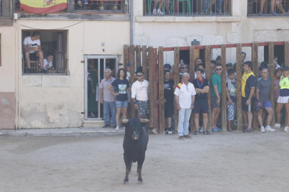 Segundo encierro de las fiestas de Peñafiel 2023 .-PHOTOGENIC