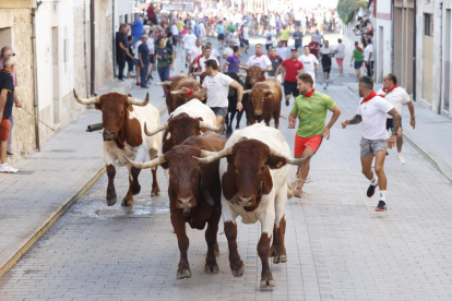 Segundo encierro de las fiestas de Peñafiel 2023 .-PHOTOGENIC