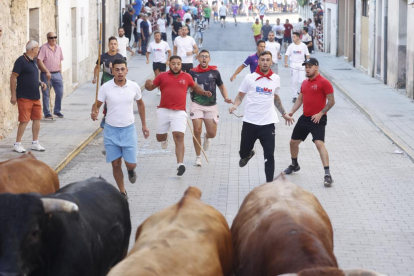 Segundo encierro de las fiestas de Peñafiel 2023 .-PHOTOGENIC