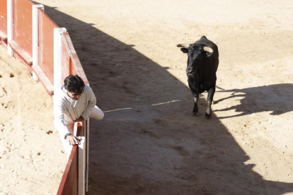 Segundo encierro de las fiestas de Peñafiel 2023 .-PHOTOGENIC