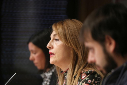 La secretaria de la Federación de Sanidad de CCOO Castilla y León, Ana Rosa Rivas.-ICAL