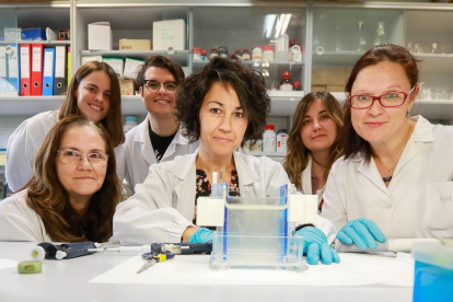 Investigadores participantes en el proyecto en las instalaciones del  Instituto de Biología y Genética Molecular de Valladolid.-J. M. LOSTAU