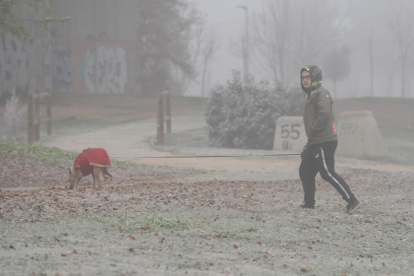 Niebla y temperaturas bajo cero en Valladolid - PHOTOGENIC