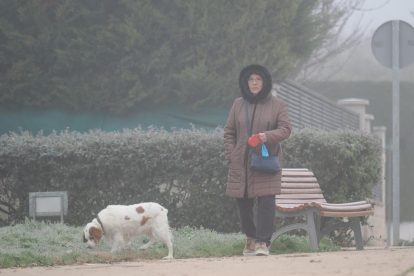 Niebla y temperaturas bajo cero en Valladolid - PHOTOGENIC