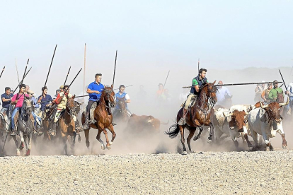 Participantes a caballo en el encierro mixto en el campo en Aldeamayor.-MIGUEL ANGEL SANTOS (PHOTOGENIC)
