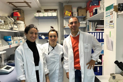 Manuel Sánchez junto a sus compañeras Patricia y Lucía en el laboratorio de Transgénesis de la Universidad de Salamanca.-E.M.