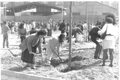 Planta de arboles en el parque de Farnesio de Las Delicias en 1987.- ARCHIVO MUNICIPAL DE VALLADOLID