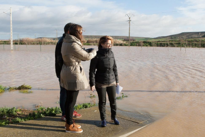 La presidenta de la Diputación, Maite Martín Pozo, observa la subida del caudal del río Valderaduey, que ha ocasionado inundaciones en Benegiles.-ICAL