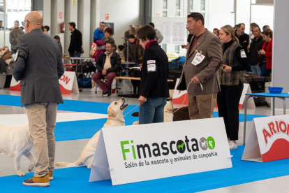 Feria 'Fimascota' en Valladolid.-PHOTOGENIC
