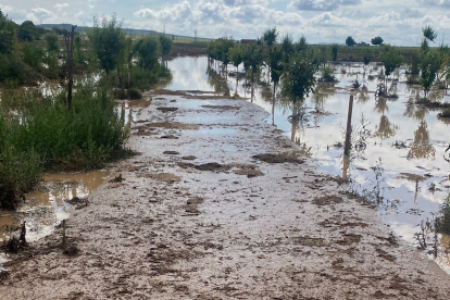 Zona anegada de Serrada.- E.M.