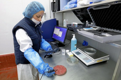 Una trabajadora analiza una hamburguesa en las instalaciones del Grupo Miguel Vergara en Valladolid.-J.M.LOSTAU