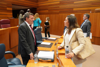 La consejera de Movilidad María González Corral conversa con el consejero de Presidencia Luis Miguel González Gago en el pleno de las Cortes.- ICAL
