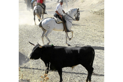 Un toro en un el encierro de Torrelobatón, en una foto de archivo.-J.M. LOSTAU