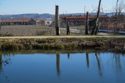 Canal de Castilla y de fondo el barrio de La Overuela.- J.M. LOSTAU