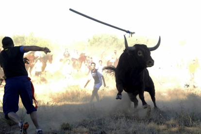 Un participante arroja una lanza al astado en una reciente edición del Toro de la Vega.-Pedro Armestre