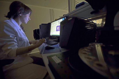 Una trabajadora analiza una prueba en el ordenador en la empresa Raman Health Technologies.-PHOTOGENIC / JOSÉ C. CASTILLO