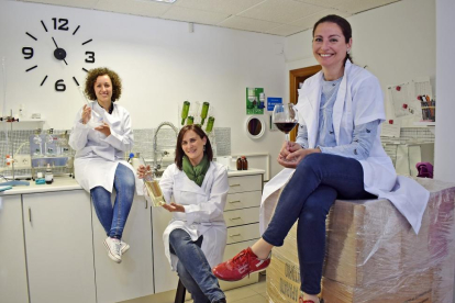 Silvia García, en primer término, junto a su equipo, formado por Milagros Caballero (sentada en el taburete) y Mónica Martín.-ARGICOMUNICACIÓN
