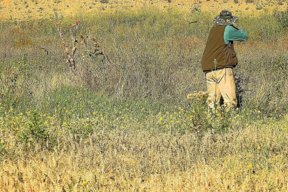 Un aficionado encarando un doblete de codornices durante una jornada de caza.-LEONARDO DE LA FUENTE