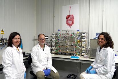 El investigador Daniel Rico y las técnicos Mª Carmen García (I) y Ana Belén Cano (D), junto al simulador gastrointestinal del ITACyL .-ICAL