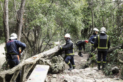 Imagen de los bomberos trabajando en la retirada del árbol caído.-M. A. SANTOS