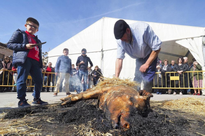 Puesta en escena de la chamuscada del cerdo en la fiesta de la matanza de Simancas.-MIGUEL ÁNGEL SANTOS / PHOTOGENIC