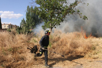 Los bomberos de Palencia sofocan un incendio de maleza en una zona de chalets junto al rió Carrión en la ciudad de Palencia-ICAL