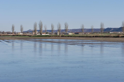 El río Esgueva se desborda en Olmos de Esgueva. PHOTOGENIC