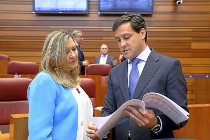 Pilar del Olmo y Raúl de la Hoz, ayer en el Pleno de las Cortes antes de empezar el debate de las enmiendas-ICAL