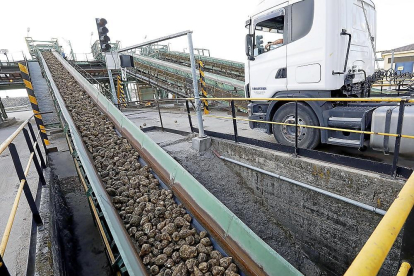 Un camión de remolacha accede a las instalaciones de Acor, en Olmedo, para efectuar una descarga.-J.M. LOSTAU