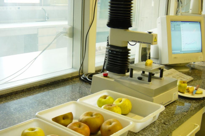 Análisis de dureza de manzanas en los laboratorios del Itacyl.-ECB