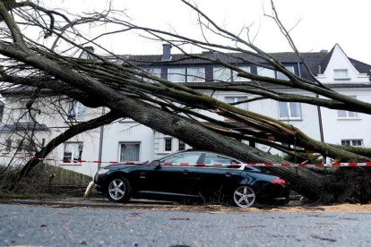 Un árbol caído sobre un coche en Dortmund (Alemania), el 18 de enero.-EFE / FRIEDEMANN VOGEL