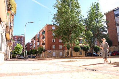 Visita reurbanización calle Falla en Valladolid. -E.M