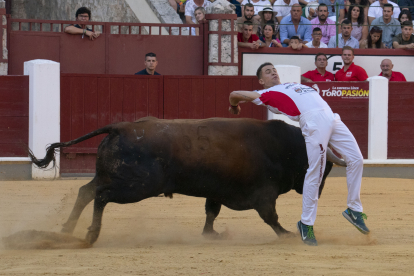 Final de la Liga de Corte Puro en Valladolid. JOSÉ SALVADOR