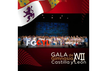 Foto de familia en la Gala de Gimnasia de Castilla y León. / EL MUNDO