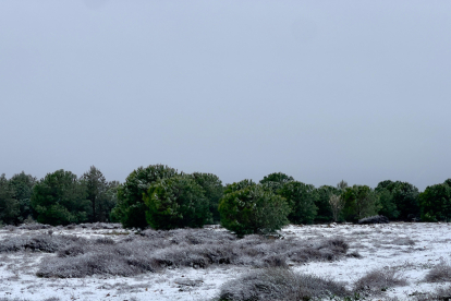 Nieve en la provincia de Valladolid.-PHOTOGENIC