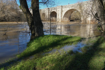Imagen del río Duero a su paso por Quintanilla de Onésimo. -J.M. LOSTAU.
