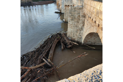 Imagen del puente de Simancas taponado por los troncos arrastrados ante las crecidas. -L.D.L.F