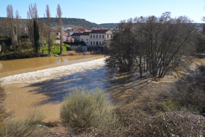 Imagen del río Duero a su paso por Quintanilla de Onésimo. -J.M. LOSTAU.