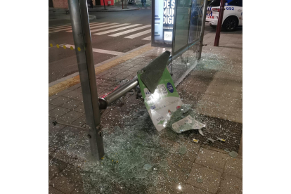 Marquesina de una parada de autobús rota a pedradas en la calle Cigüeña - POLICIA MUNICIPAL