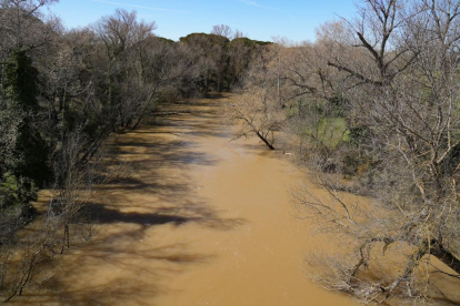 Imagen del río Duero a su paso por Herrera de Duero. -J.M. LOSTAU.