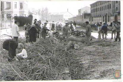 Obreros talando árboles en el paseo Prado de la Magdalena en 1970, al fondo el cruce con la calle Covadonga. - ARCHIVO MUNICIPAL